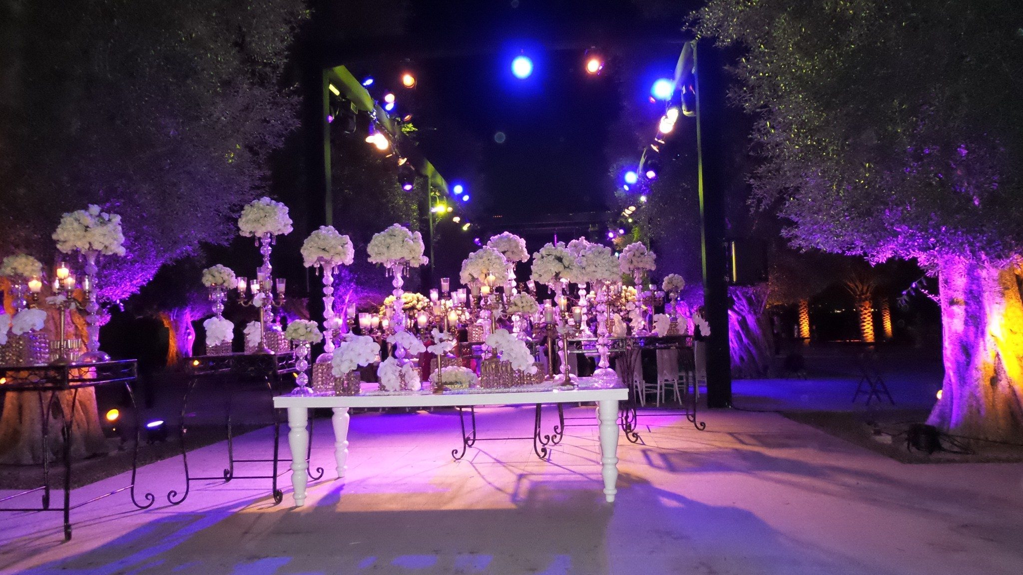 Desert Palm Per Aquum - the Perfect Wedding Venue in Dubai