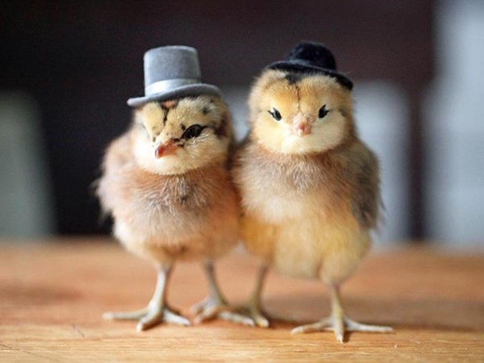 unique wedding traditions from around the world
