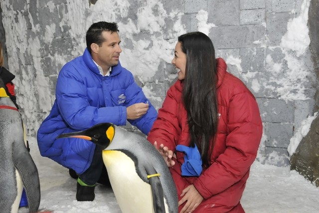 Romantic Locations to Propose in Dubai