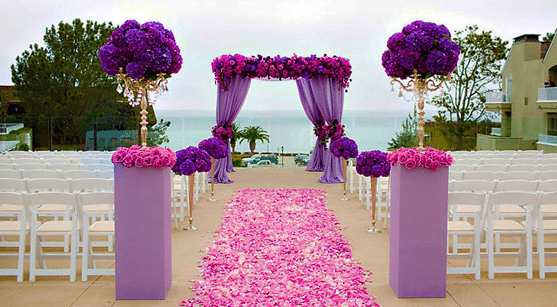 Wedding Venue