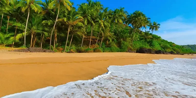 Wedding destination in Goa, India